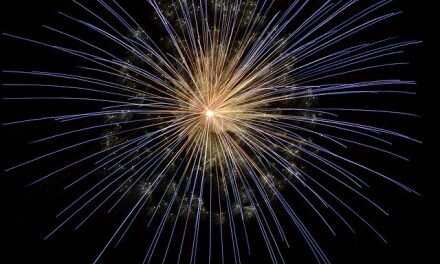 Les feux d’artifice à paris pour le 14 juillet 2020